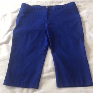 Jewel -Tone Blue Classic Crop Pants - 12P